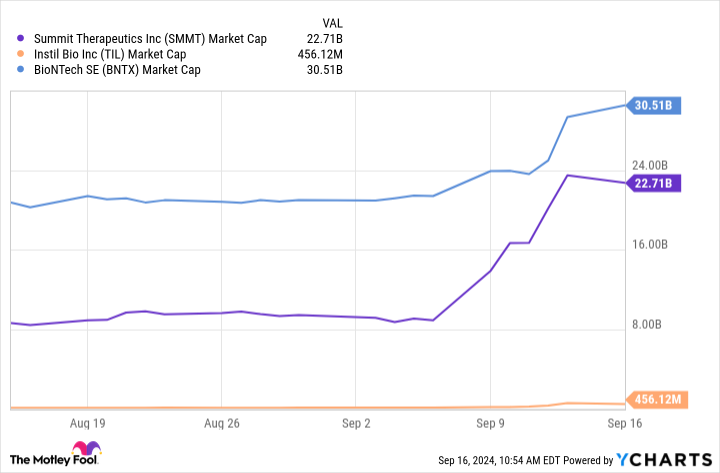 SMMT Market Cap Chart