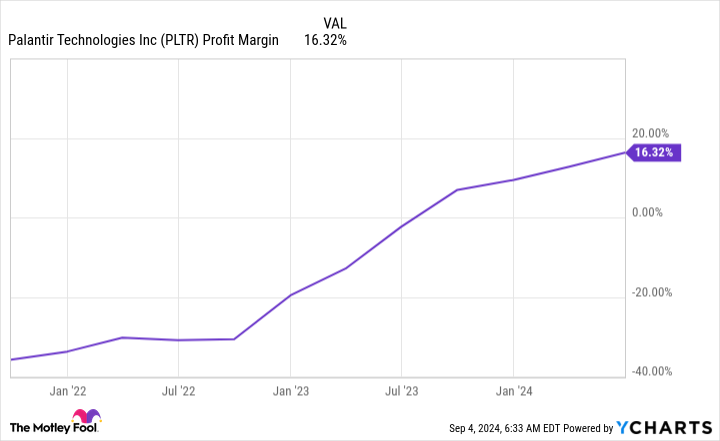 PLTR Profit Margin Chart