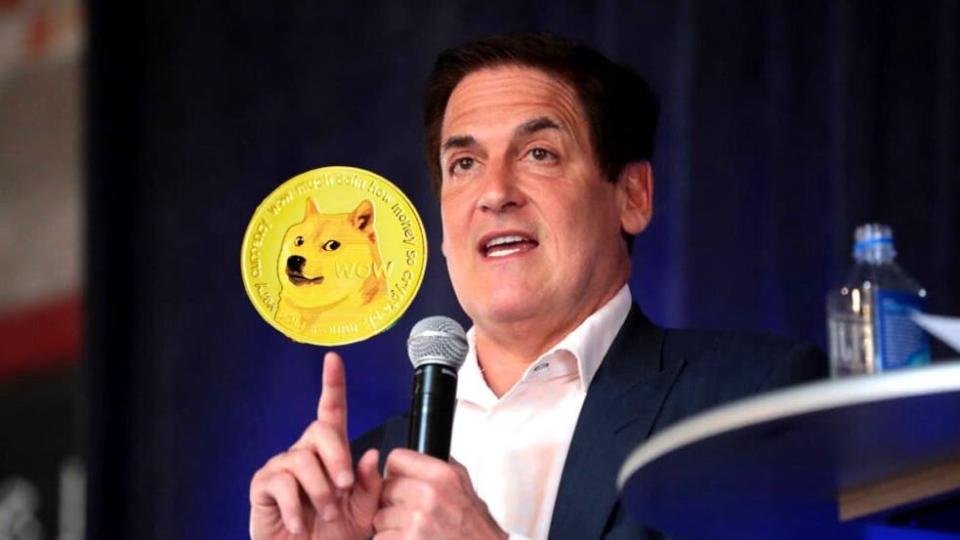 Mark Cuban Dismisses Dogecoin Founder's Concerns: Kamala Harris Is 'Night And Day Away From Biden And Far Ahead Of Trump' On Crypto Understanding