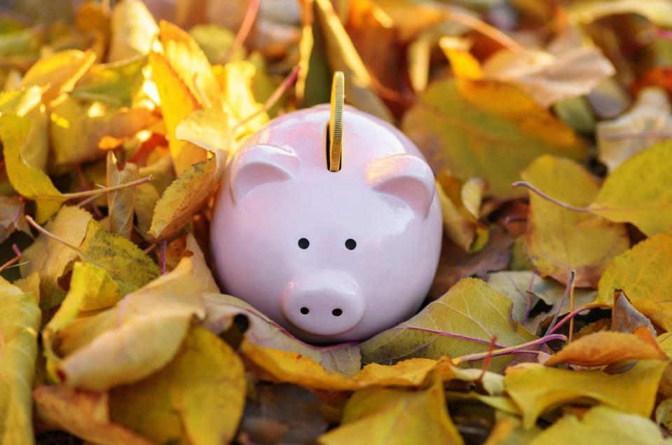 A piggy bank with a coin inserted into it on a bed of orange and yellow leaves. 