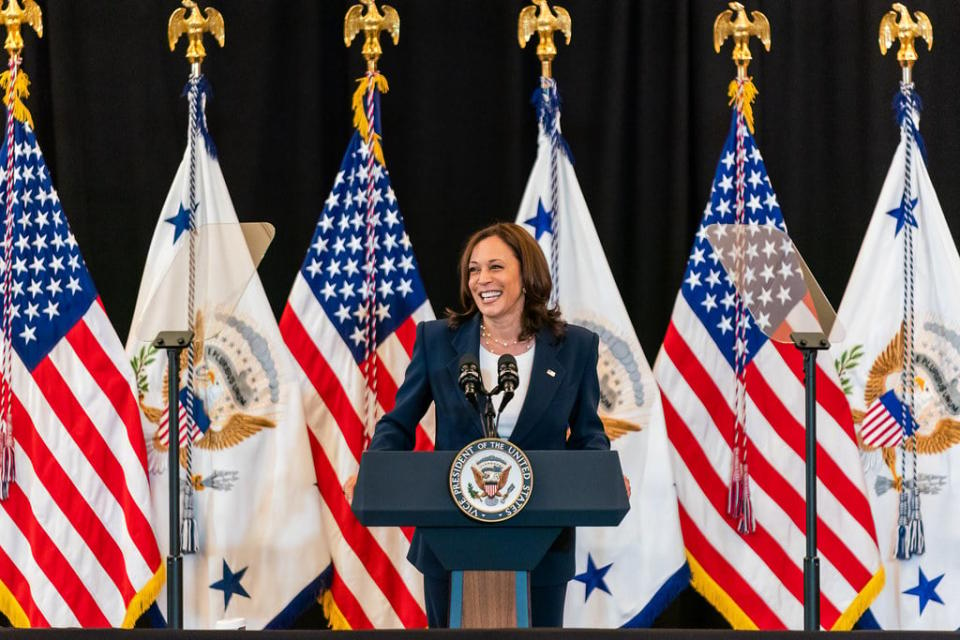 Kamala Harris standing in front of flags.