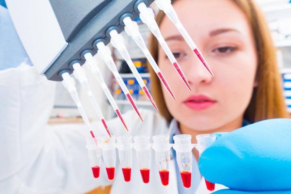 A pharmaceutical lab tech using a multi-pipette device to place red liquid into a row of test tubes.