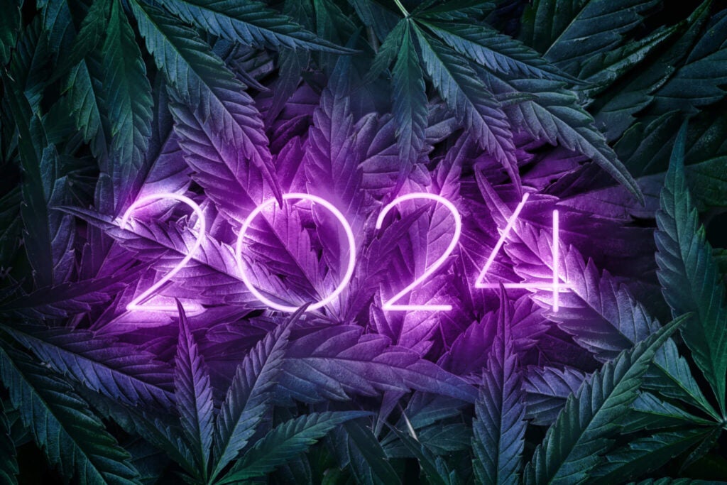 Cannabis Reform 2024: The Year Of All Talk And No Action