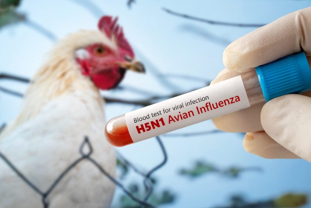 Bird Flu Update: First Commercial Case In Georgia, Moderna Receives $590 Million To Develop Vaccine